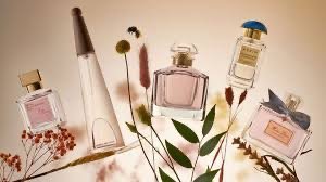 Luxury Branding Agency: Elevating Premium Brands to New Heights